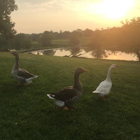 The B & B At Queenslake Midway Bagian luar foto