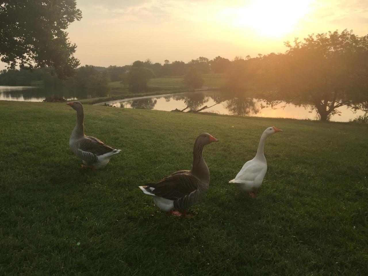 The B & B At Queenslake Midway Bagian luar foto